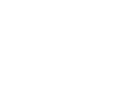 colección ande
