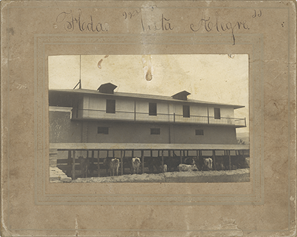 Hacienda ‘Vista Alegre’