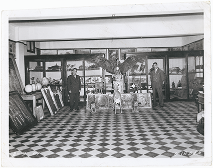 Sala de Historia Natural del Colegio Nacional Dos de Mayo
