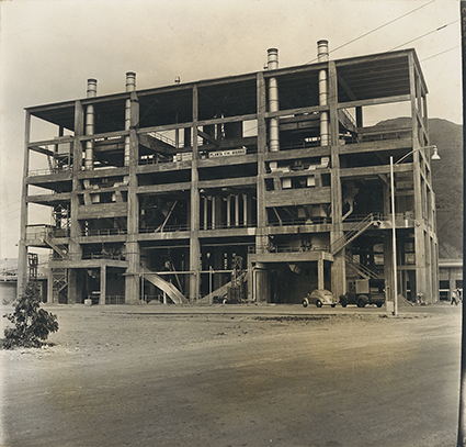 Planta de hierro
