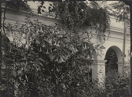 Jardín de la Escuela Nacional de Bellas Artes