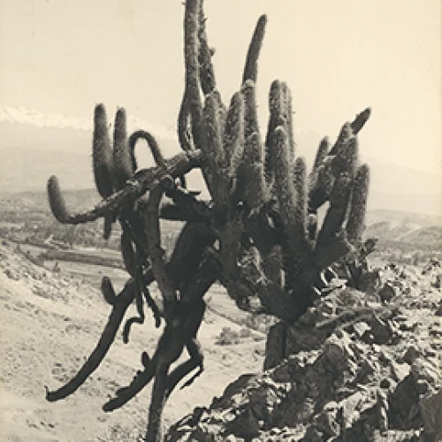 Vista de los alrededores de Arequipa