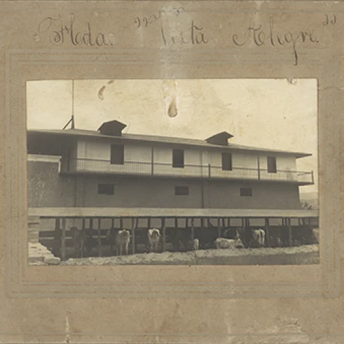 Hacienda ‘Vista Alegre’