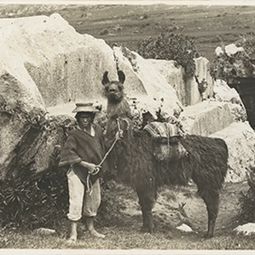 Ruinas de Sacsayhuamán