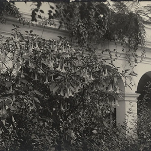 Jardín de la Escuela Nacional de Bellas Artes