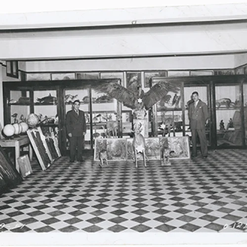 Sala de Historia Natural del Colegio Nacional Dos de Mayo