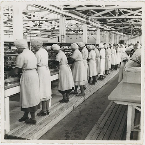 Fábrica de conservas de pescado